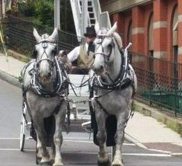 Horse and buggy ride through Jim Thorpe, Pennsylvania below the Appalachian Mountains