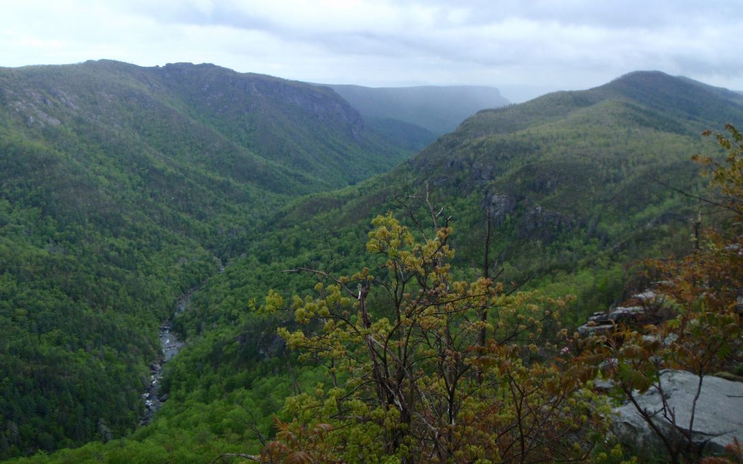 Linville Gorge: The Grand Canyon of the East