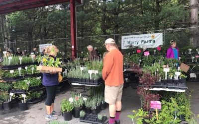 The 29th Annual Spring Herb Festival – Asheville, NC