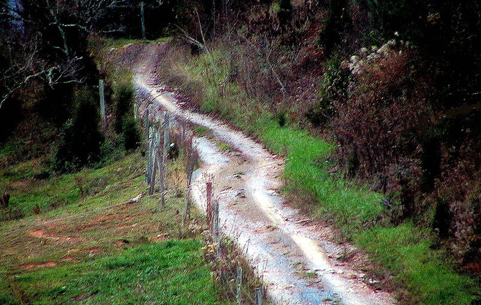 Appalachian Mountain Road to the granny witch's house Appalachian back road leading to the granny witches house