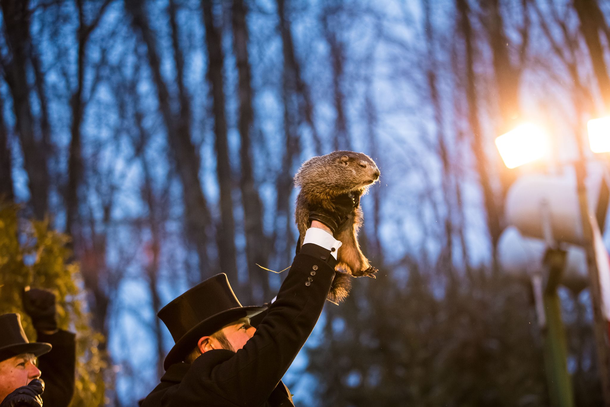 Punxsutawney Phil: Appalachia’s Furry Forecaster